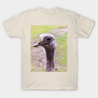 Closeup portrait of common ostrich T-Shirt